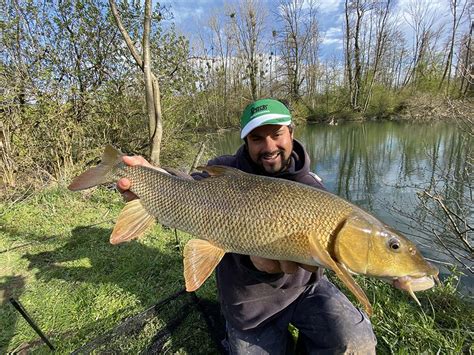 barbau|10 conseils pour le barbeau